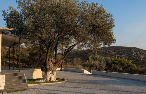 Domus Villa - Foto 73