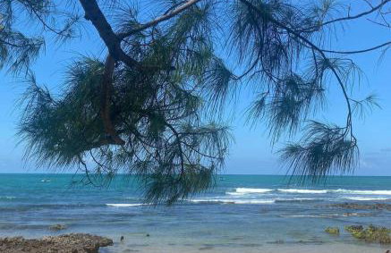 Casa de Mar Sagi - Foto 49