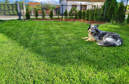 Całoroczny dom w sercu Mazur - Photo 3