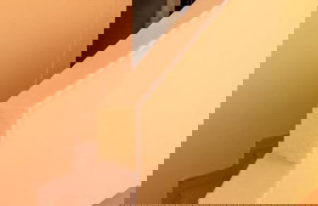 Baia da Luz - Foto 53