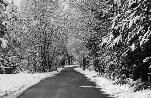 Trójmiasto nad jeziorem DOM -ECHOCHATA - Foto 17