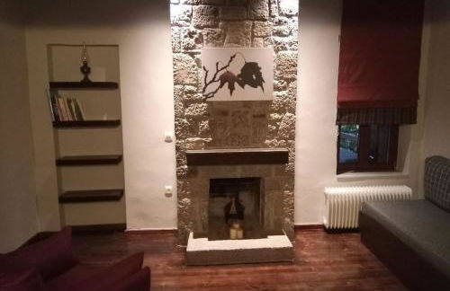 Τείχιο Πατρικό - Tihio Patriko - Πέτρινη κατοικία - Foto 8