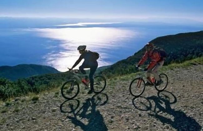 Istrian Villa Kacana Vodnjan - Foto 23