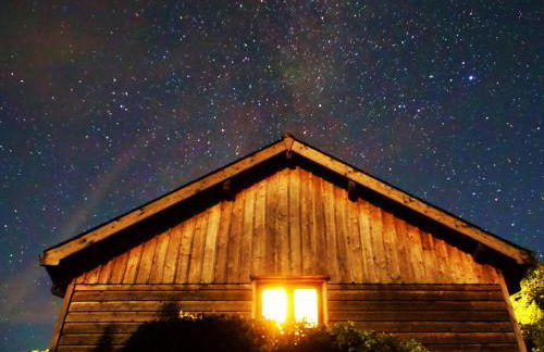 4 Bed in Newtown 48641 - Foto 55