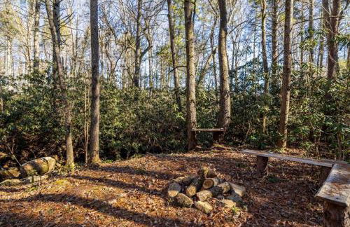 Hikers Haven Cherokee National Forest Retreat! - Foto 23