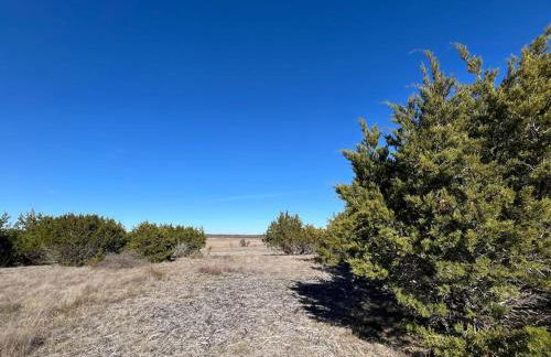 Dome Sweet Dome - Foto 11