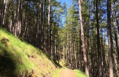 Highland Self Catering Retreat With Stunning Views - Foto 21