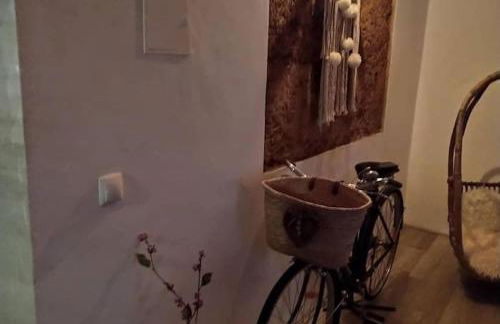 Tribo da Praia - Foto 8