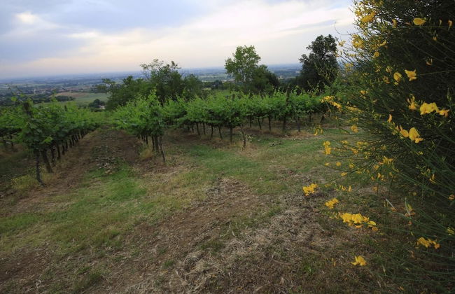 Agriturismo Borgo delle Vigne - Foto 35