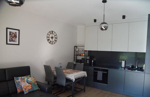 Apartament Tamara Scala Łąkowa - Photo 6