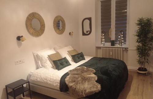 Appart 3p RDC Orangerie- Parlement européen - Foto 1