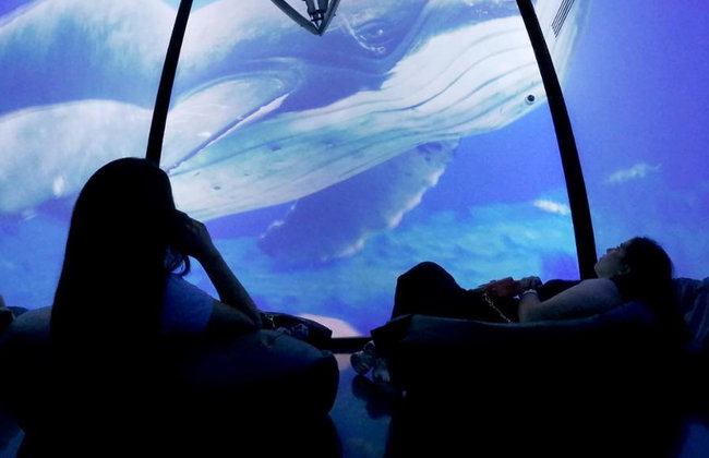 Munba: Museo Nacional de la Ballena - Tour - Foto 7