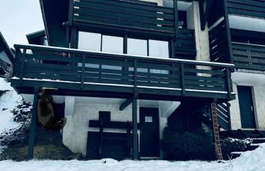 Face au glacier - Photo 30