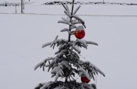 Althuberhof - Photo 26