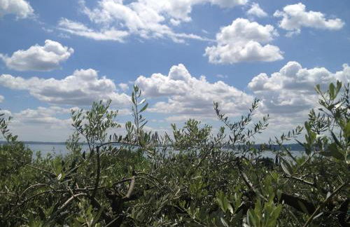 Villa Molino - Foto 54