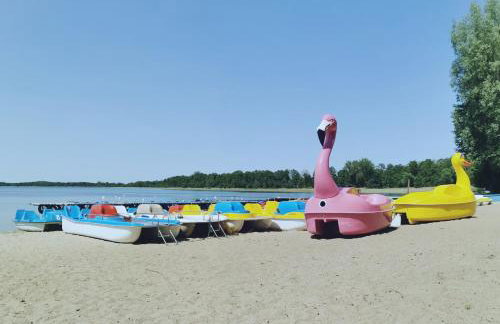 Apartamenty Pszczew Krzysztof Michna Lubuskie Mazury Apartament "MAJA" - Foto 12