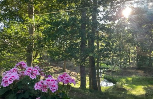 Luxury Cabin in the Woods - Foto 7