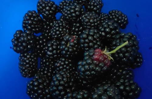 La Maison de André - Foto 14