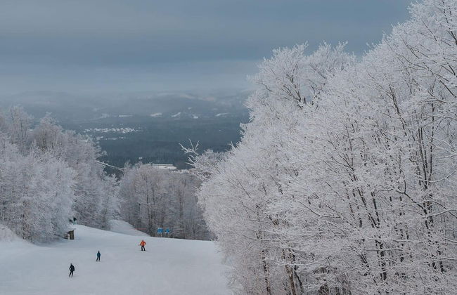 Condo With Magnificent View Citq 259781 - Foto 14