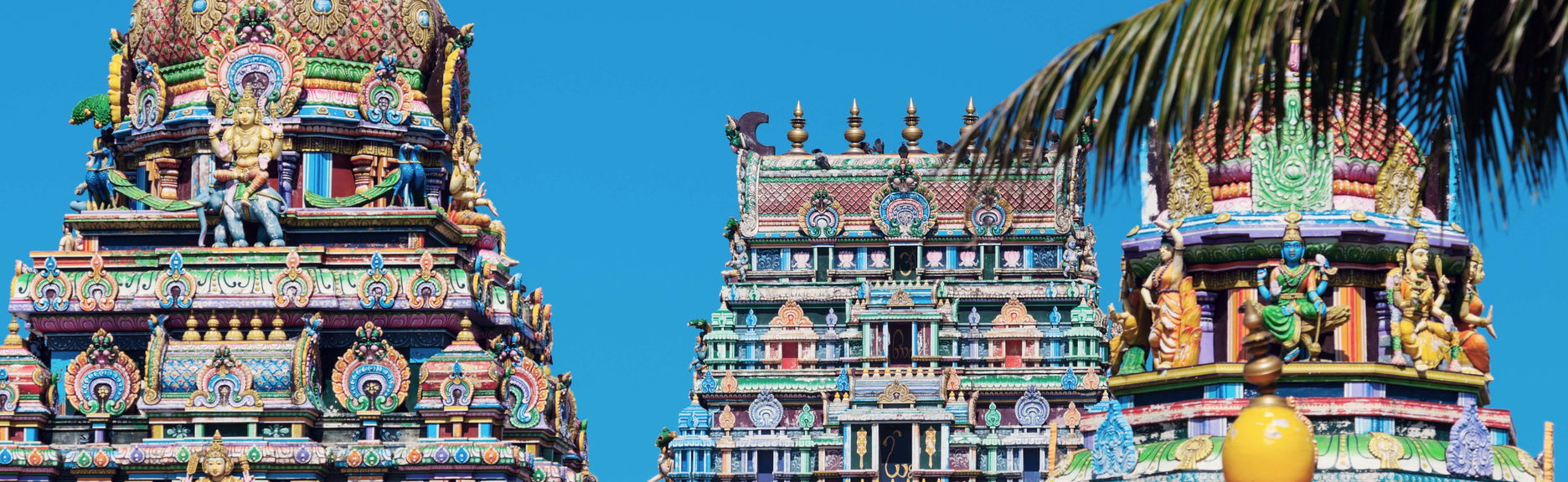 Visita guidata a Nadi