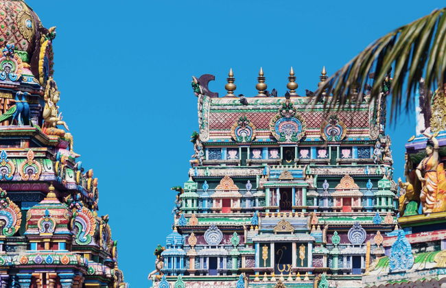 Visita guidata a Nadi - Foto 1