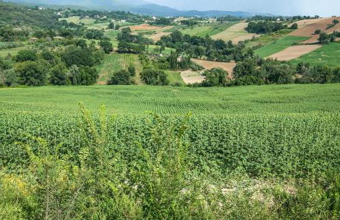 Lovely Home In Otricoli With Kitchen - Foto 10