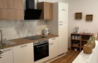 ANER 6 eleganter Loft mit Infrarotsauna in Dresden Weißer Hirsch - Foto 6