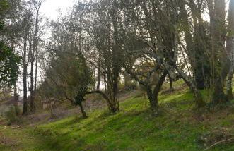 Il Giardino Secreto - Foto 36