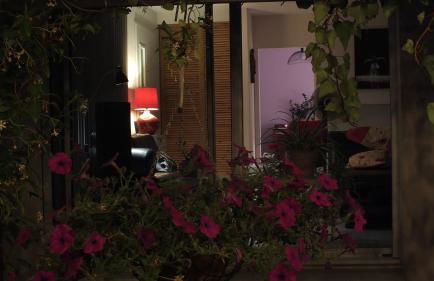 La Maison sous l'olivier - Foto 15