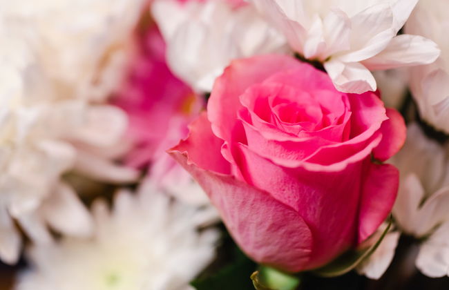 Birchwood Cottage - Foto 11