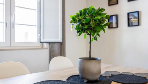 Casa Memória - Foto 2