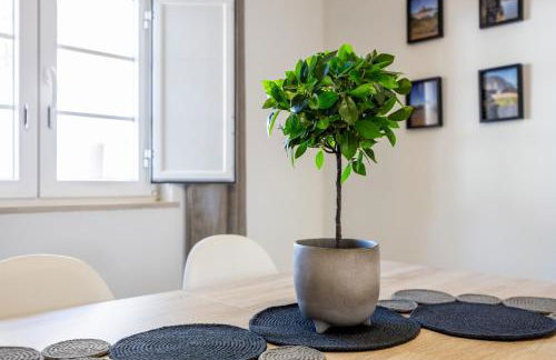 Casa Memória - Photo 2