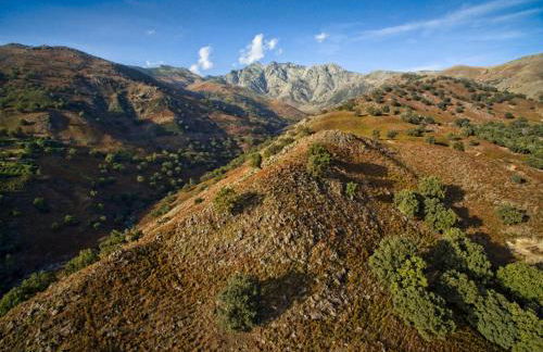 Abejas 2 de El Vergel de Chilla - Photo 34