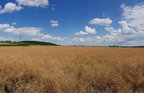 Ferienwohnung Wiesental 89331 Burgau, Wiesentalstrasse 1 - Foto 20