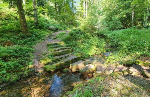 Ferienwohnung Sägemühle - Foto 41