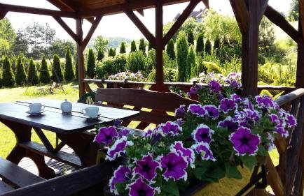 Apartament Pozytywka - Foto 5