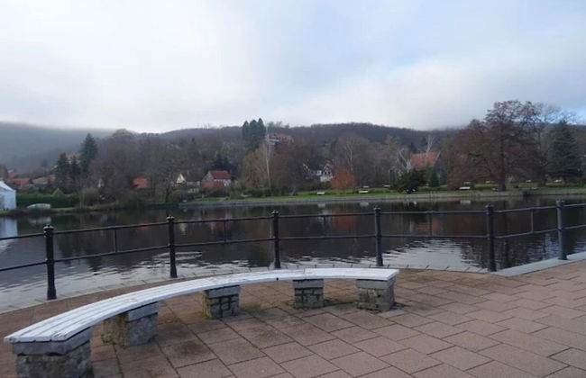 Classic Holiday Home in Harz near Braunlage Ski Area - Foto 19