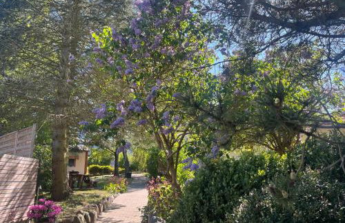 Bungalow Green Park - Foto 19