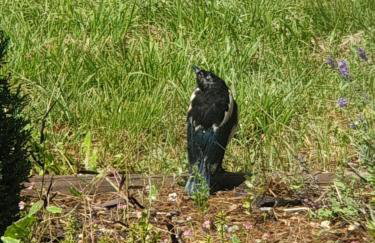 La Villa d'Emma - Foto 39