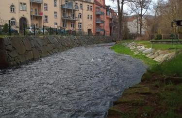Ferienwohnung zum Sebnitzer Hirsch - Photo 48