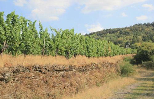 Friends and Family Leiwen - Foto 24