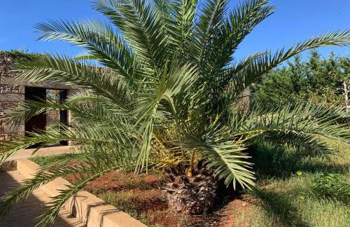 Relais Masseria Sant'Antonio - Foto 30