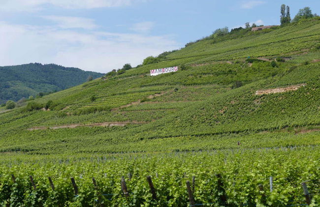 Tour por los pueblos de Alsacia - Foto 5