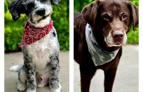 Boulder Junction Motor Lodge - Foto 28