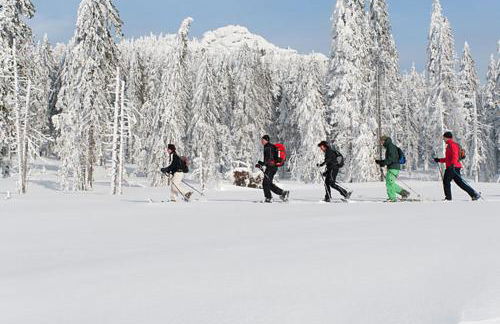 Hofstub´n - Foto 41