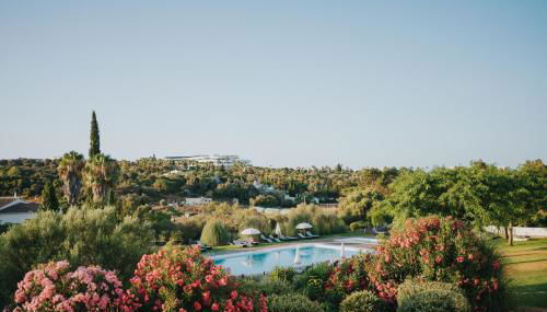 Pelican Alvor - Photo 2, Garden