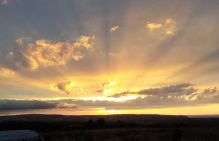 Thyme Cottage - Foto 12