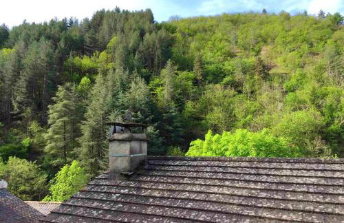 Maison spacieuse à Saint-André-de-Valborgne avec jardin 120 m² - Foto 30