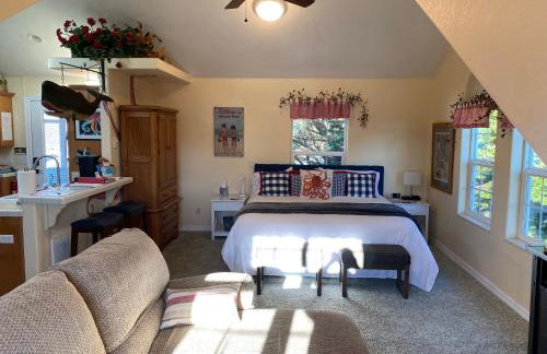 Octopus Suite - Foto 10