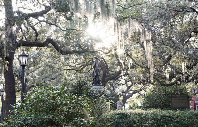 Kasa Jules Savannah - Foto 75